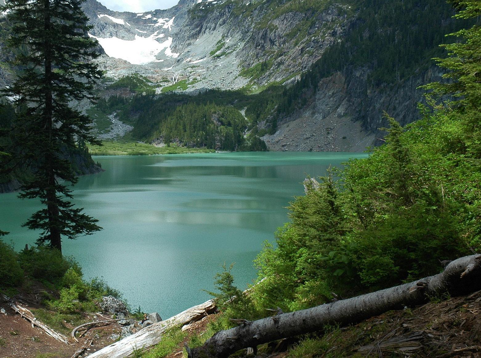 Full Width 1 landscape 1575059 1920 edit