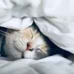 post sleep2