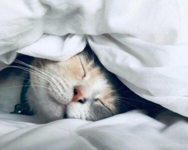 post sleep2