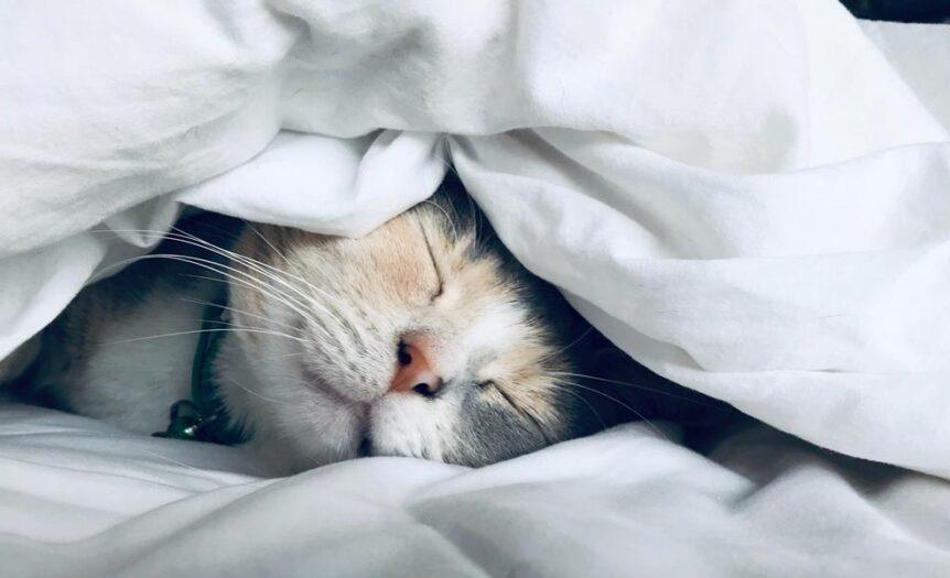 post sleep2