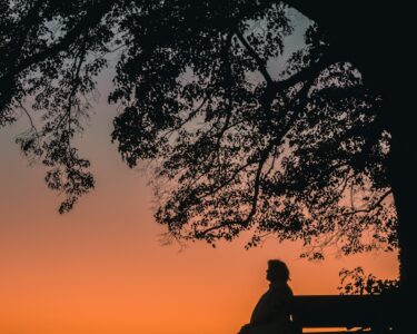 silhouette of man sitting on bench during sunset