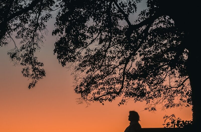 silhouette of man sitting on bench during sunset