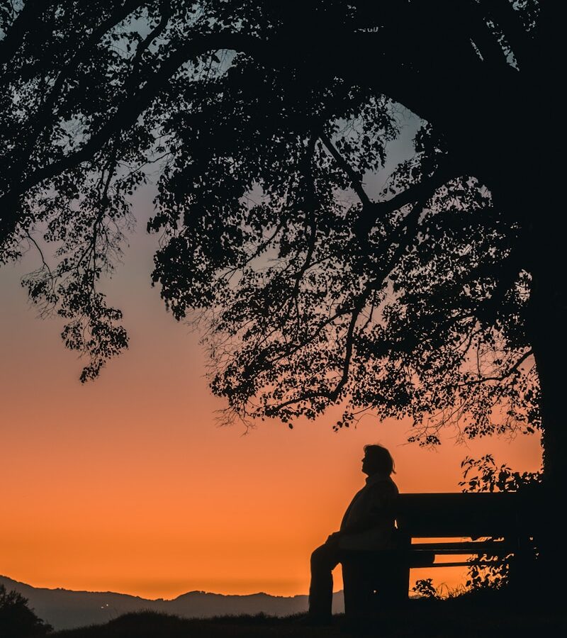 silhouette of man sitting on bench during sunset