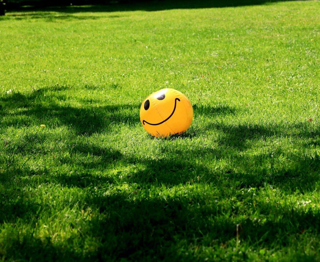 a smiley face ball sitting in the grass