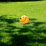 a smiley face ball sitting in the grass