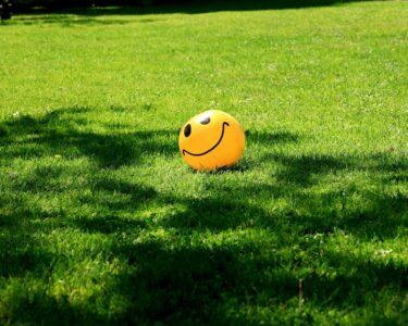 a smiley face ball sitting in the grass