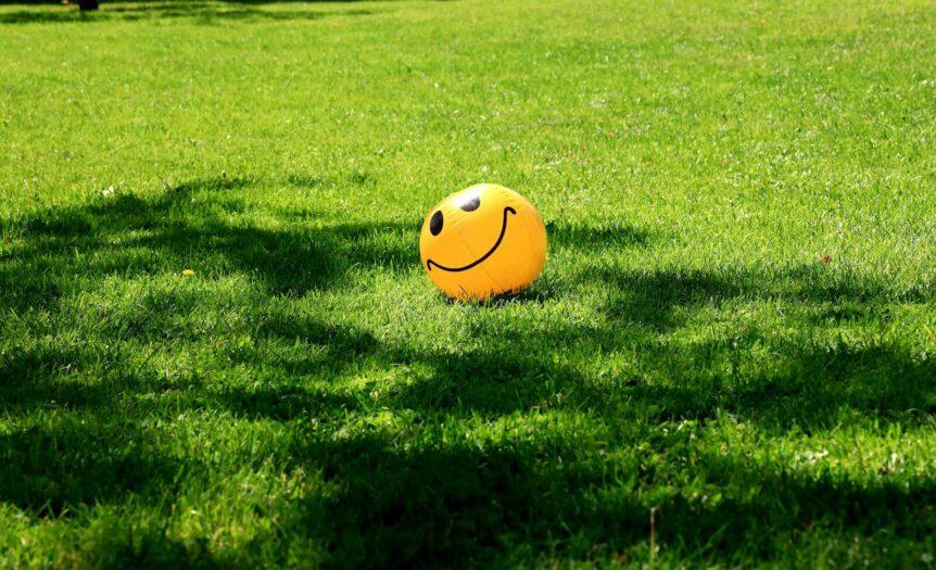 a smiley face ball sitting in the grass