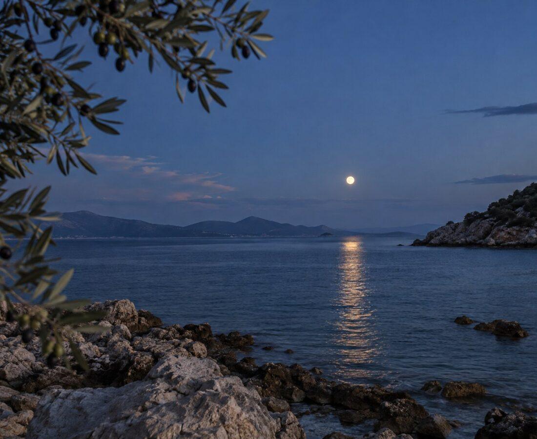 Πανσέληνος πάνω από ήρεμη θάλασσα και κλαδιά ελιάς, για τη Θετική Αστρολογία 21–27 Σεπτεμβρίου 2026