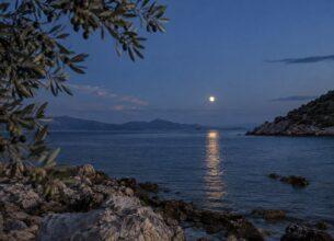 Πανσέληνος πάνω από ήρεμη θάλασσα και κλαδιά ελιάς, για τη Θετική Αστρολογία 21–27 Σεπτεμβρίου 2026