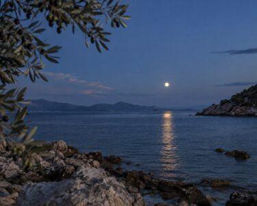 Πανσέληνος πάνω από ήρεμη θάλασσα και κλαδιά ελιάς, για τη Θετική Αστρολογία 21–27 Σεπτεμβρίου 2026