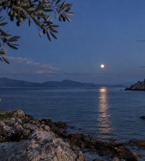 Πανσέληνος πάνω από ήρεμη θάλασσα και κλαδιά ελιάς, για τη Θετική Αστρολογία 21–27 Σεπτεμβρίου 2026