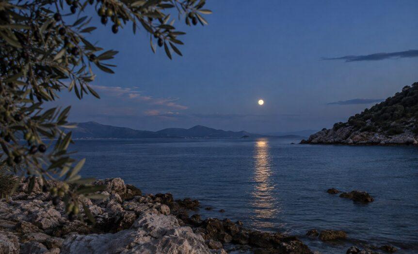 Πανσέληνος πάνω από ήρεμη θάλασσα και κλαδιά ελιάς, για τη Θετική Αστρολογία 21–27 Σεπτεμβρίου 2026