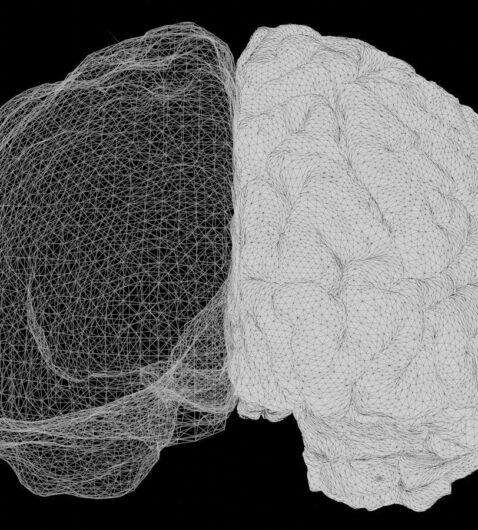 a computer generated image of a human brain