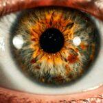 A close-up of a human eye with a grey and orange iris