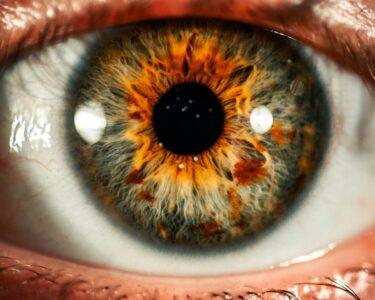 A close-up of a human eye with a grey and orange iris